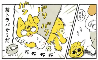 すごい「猫の噛みグセ」にどう対応したか。母にも秘密の方法は...？／茶トラのやっちゃん2