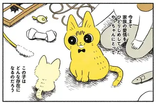 「大変だ...捨て猫...」保護された生後数週間の子猫。先住猫と仲良くやっていける？／茶トラのやっちゃん2