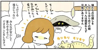 引越しで元気をなくした猫。飼い主の工夫で慣れてきたら...忘れてた！／茶トラのやっちゃん3