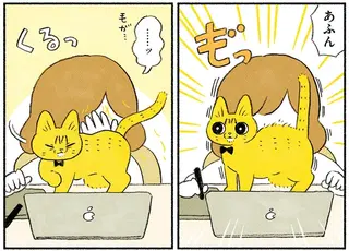 猫たちに仕事を邪魔される！ 在宅勤務でペット飼ってる人、どうやって働いてるの？／茶トラのやっちゃん3