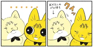 「お返しのペロください」姉さん猫を一生懸命毛づくろいする妹猫。願いは叶う？／茶トラのやっちゃん3