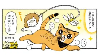うちの猫はパワーとスタミナのある運動オンチ!? 覚悟を決めた飼い主／茶トラのやっちゃん3