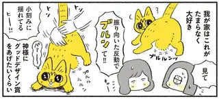 猫の「プルプルなお腹」が愛らしすぎて...触りたいと願い続けて起きた奇跡／茶トラのやっちゃん