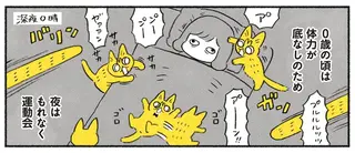 ボロボロだった保護猫はこんなに元気になりました。体力が底なしだった0歳時は...／茶トラのやっちゃん