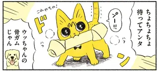 猫が引き起こした「絶望的な光景」。飼い主の「最終手段の叱り」も効果が...／茶トラのやっちゃん