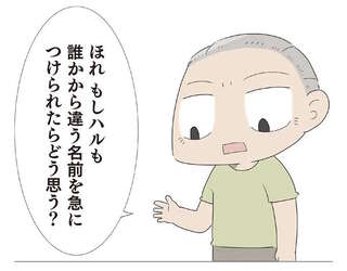 子猫に名前をつけたい孫を諭すため、つい「ママ」を持ち出して反省／ハルとゲン