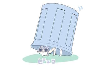 わしも孫も楽しかった...楽しい時間をくれた子猫に「ありがとう」／ハルとゲン