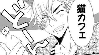 「やろうぜ、猫カフェ」猫好きではない兄弟がノリで始めた結果／純喫茶ねこ