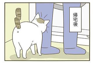 3日ぶりに再会した猫と飼い主。猫がずっと「んーん、ん－ん」って...可愛すぎる！／うちの猫がまた変なことしてる。5