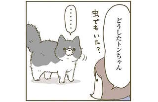 「容赦ない猫」。ぎっくり腰になった夫に猫が...⁉／うちの猫がまた変なことしてる。6