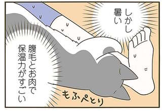 寒い夜、猫を呼んで暖をとろうと思ったら...。猫はこんな顔に／うちの猫がまた変なことしてる。6