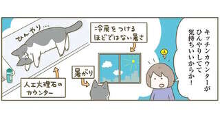 何回も注意してるのに。猫がキッチンカウンターに乗っているワケ／うちの猫がまた変なことしてる。7