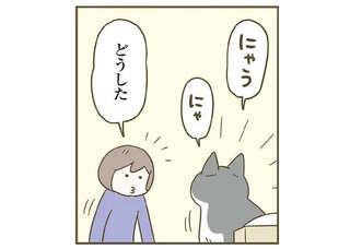 「鬼か」猫が飼い主を呼びに来た理由。それはかわいそうだろ...！／うちの猫がまた変なことしてる。7