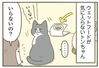 出された食事が気に入らない先輩猫。それを後輩猫たちにあげると...えっ？／うちの猫がまた変なことしてる。7