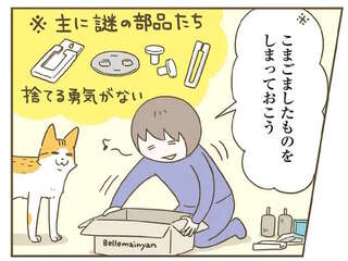 「ちょうどいい箱」を見た猫。飼い主がモノを入れようとしたら...!?／うちの猫がまた変なことしてる。7