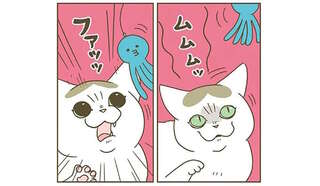 猫じゃらしで遊ぼう！ 愛猫の顔はやる気満々、でもボディは...あれ？／うちの猫がまた変なことしてる。8