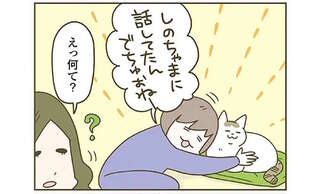 「えっ何て？」「猫に言ったの」飼い猫と会話すると人間が混乱!?／うちの猫がまた変なことしてる。8