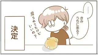 初めて会った時は友だちに座られて。私とうさぎのうにまるの出会い／うちのうさぎは今日ものんびり