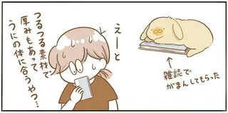 うさぎがショボーンとした理由。ここにあったのに...／うちのうさぎは今日ものんびり