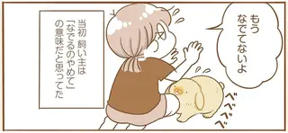 うさぎがずっと私をペロペロ。その理由を調べたら...キュン！／うちのうさぎは今日ものんびり