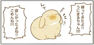 6日も離ればなれになったうさぎと飼い主。感動の再会と思いきや...んんん？／うちのうさぎは今日ものんびり