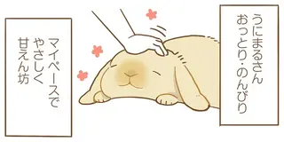 おっとり甘えんぼうな我が家のうさぎ。でもマイペースすぎる面も？／うちのうさぎは今日ものんびり