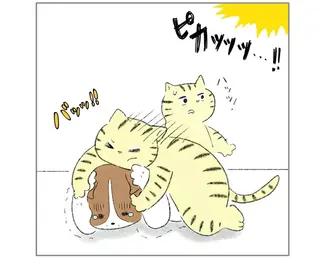 ピカッ...ドーン!! 激しい雷にブルブル怯える相棒。飼い主がいなくてもボクが守ると...／元ノラ猫と元保護犬、ふたりは親友