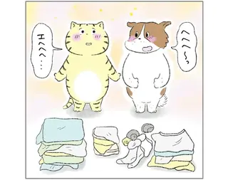 お手伝いを褒められて嬉しそうなふたり。やる気満々だけど...!?／元ノラ猫と元保護犬、ふたりは親友