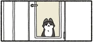 そう、かわいいの！ 完全室内飼いの猫を宅配業者さんが褒めてくれた「喜び」／あっち こっち ネッチ！