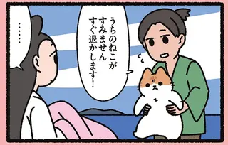 置いてあった天女に羽衣の上からねこが動かない！そこに現れた青年が...／よっ！ねこむかしばなし