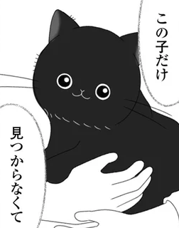 猫の引き取り手が見つからず保健所に...？ 急ぎ会いに行って「飼うしかない！」／にゃんかつ
