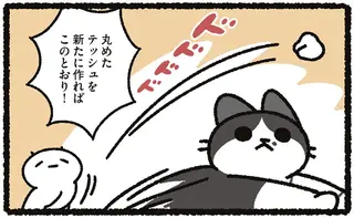 猫が「丸めたティッシュ」で遊ぶことにハマった愛猫。部屋の中が...ああ／あっち こっち ネッチ！