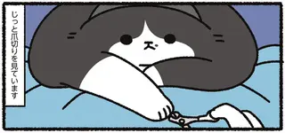 寝ている間だけ爪を切らせてくれる猫。いつの間にか起きたと思ったら、スーっと...!?／あっち こっち ネッチ！