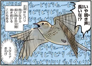 「めっちゃ早口な歌」が全然終わらない...。実はスタミナお化けな鳥って？／まだまだ！意外と知らない鳥の生活