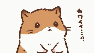名前は「カワイイ...？」召されたハムスターが受ける天国面接／ひまちゃんと天国の面接