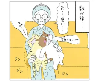 「重い...けど幸せ」。飼い主の膝に２匹のどちらが乗るか揉めた結果...／元ノラ猫と元保護犬、ふたりは親友