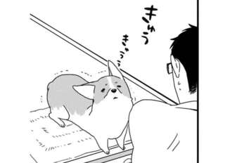 「浮気調査ハンパない」外でよその犬と触れ合った後に帰宅すると...!?／あしょんでよッ ～うちの犬ログ～1