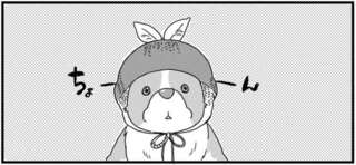 こんな顔もかわいい！うちのワンコが被り物を嫌がらない理由／あしょんでよッ ～うちの犬ログ～1