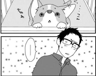 「この子、ください」愛犬と初めて出会った日。家族になると決めた「理由」は／あしょんでよッ ～うちの犬ログ～2