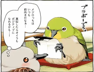 過酷な挑戦、不幸もネタ。メジロの配信者魂に震えるキジバトくん／キジバトくん日記