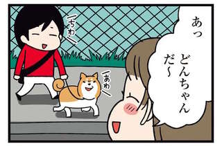 柴犬がご近所さんとの井戸端会議に参加？ その姿が...／ドヤ顔柴犬どんぐり2