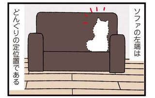 柴犬VS人間の熾烈なポジション争い。いま、何て言った？／ドヤ顔柴犬どんぐり2