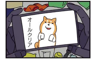 背景もバッチリで愛犬の撮影！でも実は画角の外には...／ドヤ顔柴犬どんぐり2