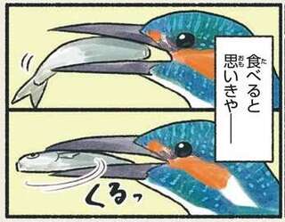 ソソソっと近づいて...「見習いたい愛情表現」。ワイルドな鳥のやさしい姿／意外と知らない鳥の生活