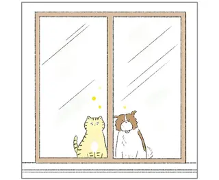 ふたりで窓から外を見ていたら道行くおじさんがニコニコ／元ノラ猫と元保護犬、ふたりは親友