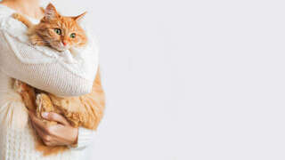 犬や猫の「なんとなくおかしい」は正しい！飼い主の直感を信じて動物病院へ行くべき理由