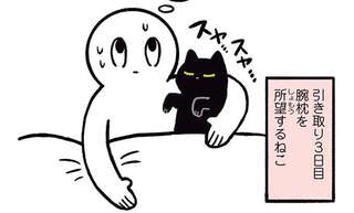 「ほんとにノラなんですかこの子...？」引き取り3日目の猫。驚きの人懐っこさを見せて／黒猫ろんと暮らしたら