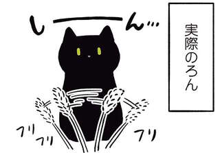 猫といえば「ねこじゃらし 」のはずが...!?  遊ぼうと思ったら...えっ／黒猫ろんと暮らしたら