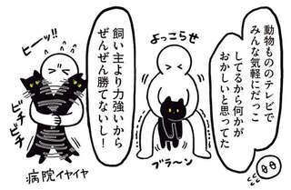 写真アプリでは「犬」判定!? 他の猫を知ってわかったうちの猫のビッグさ／黒猫ろんと暮らしたら