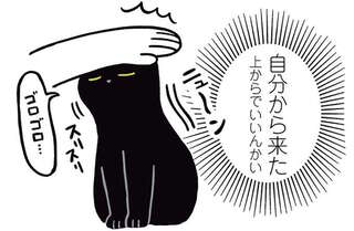 猫が悩める飼い主を気遣った!? 自分から頭をこすりつける「セルフよしよし」／黒猫ろんと暮らしたら